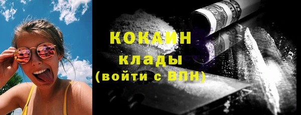 твердый Арсеньев