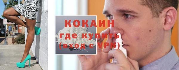 твердый Арсеньев