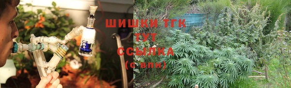 твердый Арсеньев