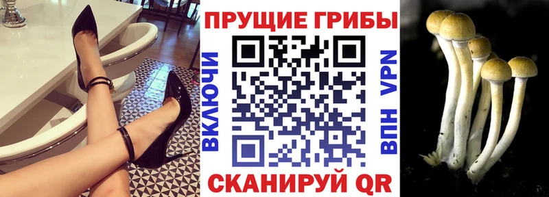 купить цена Сафоново Галлюциногенные грибы прущие грибы